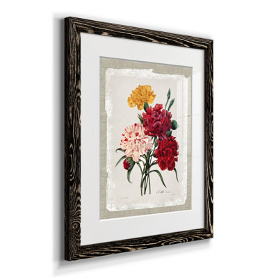 Botanical Bouquet Carnations - Reproduction d'art sur papier encadrée