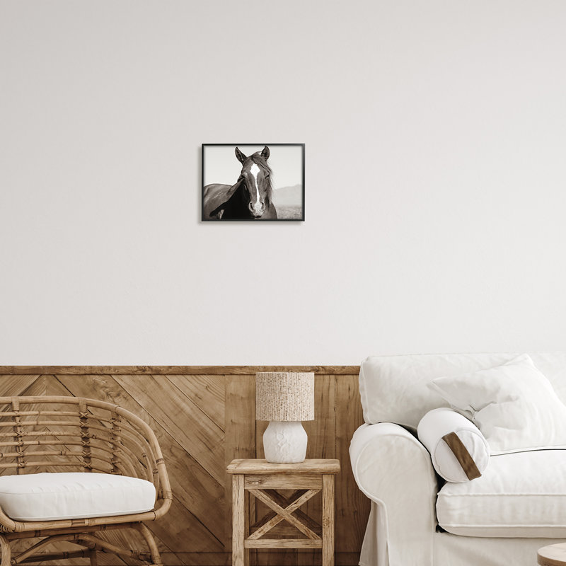 «Stupell Industries Windblown Stallion», art mural sur toile par Nathan Larson, Giclée encadrée noir minuit