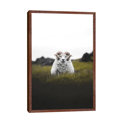Staredown by Joe Shutter - Print on Canvas