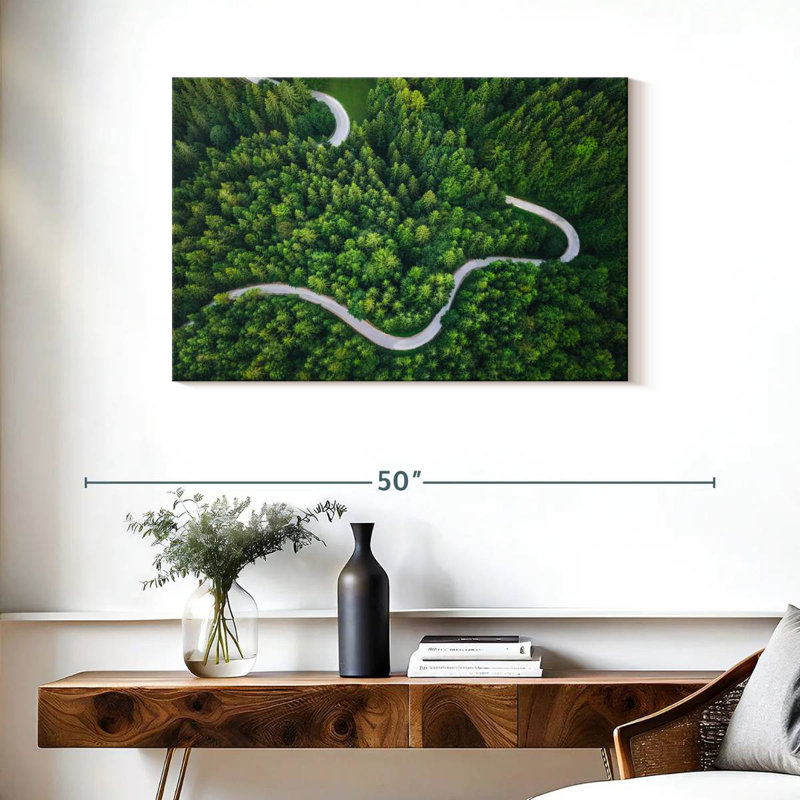 Alvord Winding Pine Forest Road