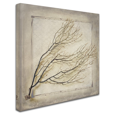 " Starfish Sea Leaf " by LightBoxJournal