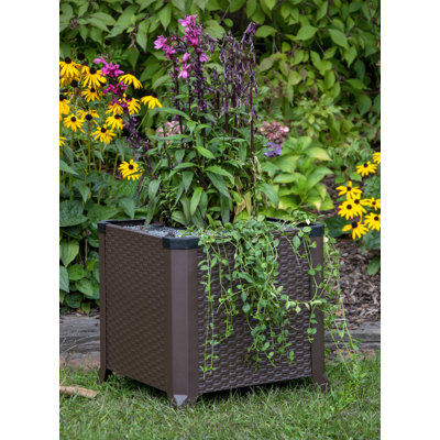 Metal Raised Planter