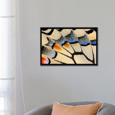 « papillon macro-photographie xx », impression sur toile