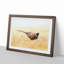 A Pheasant Bird in Abstract - Picture Frame Painting Print-55629687-55629691