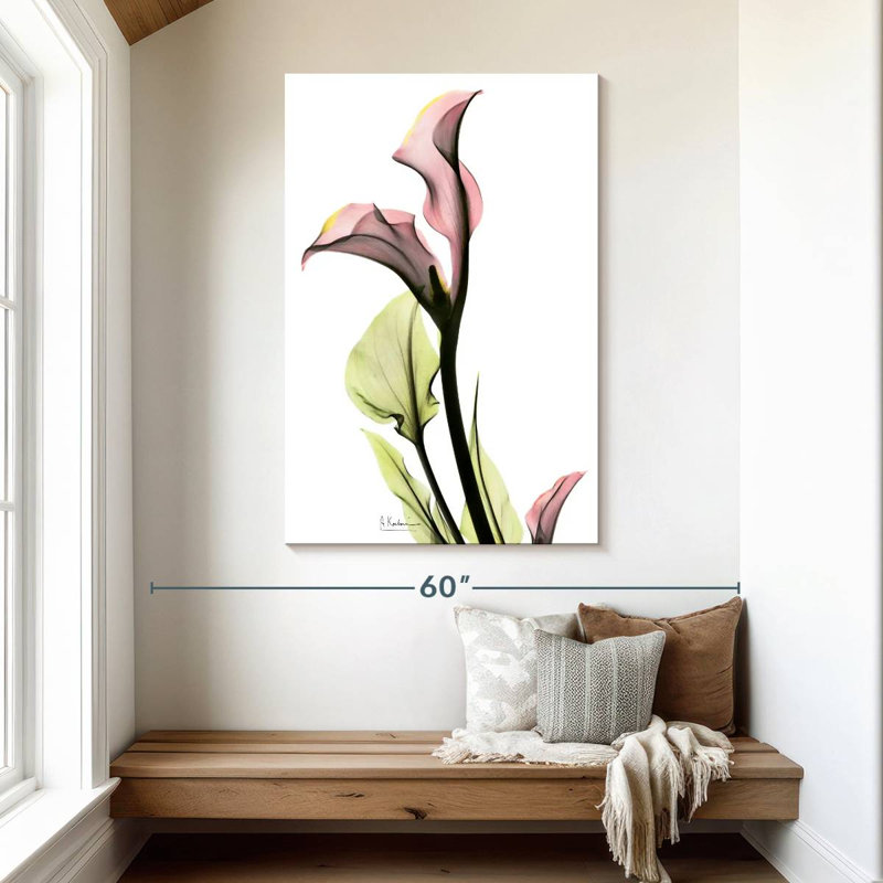 Harnek délicat, lis Calla, H 48 po x l 32 po