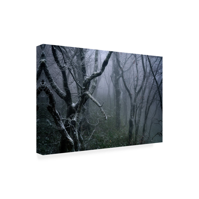 Art mural sur toile tendue - Sho Shibata «Misty», art mural pour le salon, la chambre à coucher ou le bureau - 22 x 32