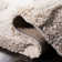Kerio Shag Performance Abstract Rug
