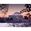 Blossoms By The Dome Print by Steven Heap-65807504-132440162
