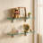 Keyshia Bathroom Glass Shelf Tempered Glass Rectangular Extra Wall Mount (Set of 2)-336352913-339567172