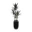 Faux Yucca Plant in Planter-1268719539