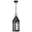 Lanterne suspendue 1 lumière Suher - noir mat avec verre transparent transparent Suher
