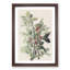 Ground Doves by John Audubon - Picture Frame Painting Print-55608835-55608837