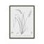 Cyclamen by lettered & lined Art Print-129008855-129008863-129008865