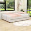 Lit de jour rembourré avec port USB et lit gigogne simple-901498940