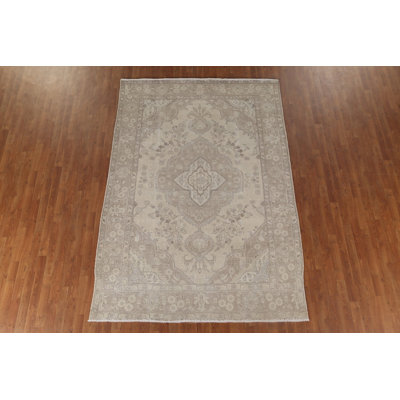 Distressed Muted Traditional Area Rug 6x9