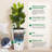 Set of 2 Tall Self-Watering Planters, 16"-22.5" Outdoor Pots with Drainage & Water Monitor-1932216828-1932216802