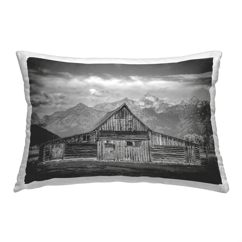 Throw Pillow
