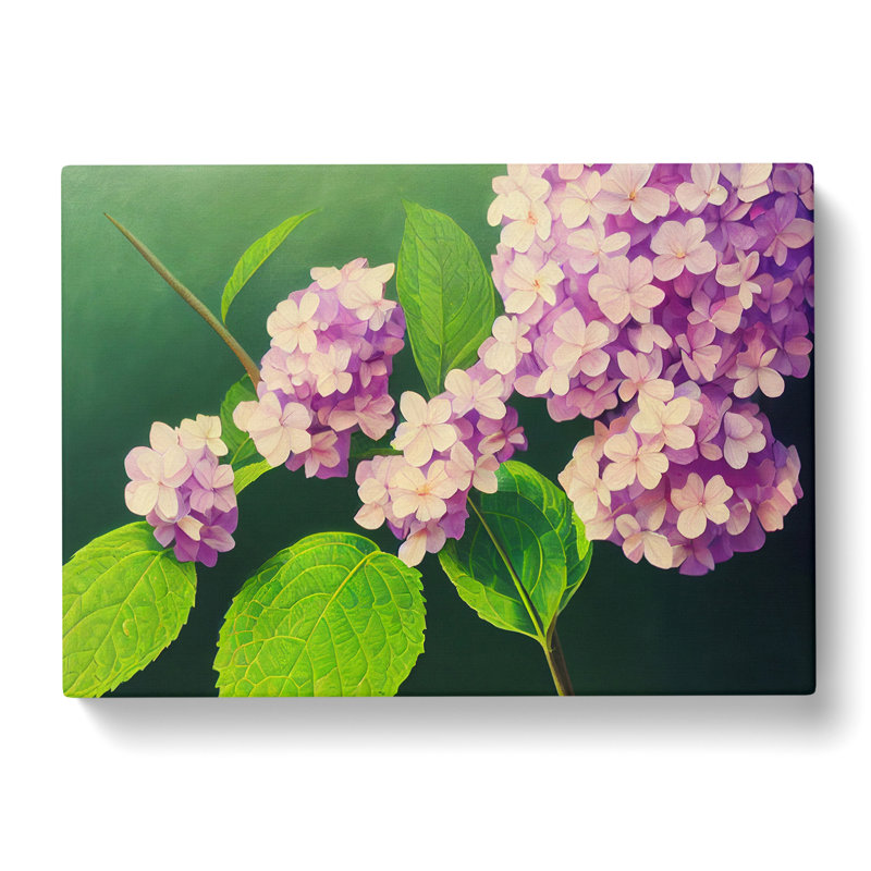 Gorgeous Hydrangea Flowers - Wrapped Canvas, 50cm H x 76cm W x 3cm D