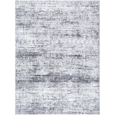 Stann Abstract Indoor Rug