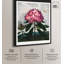 Pontic Rhododendron 1807, toile par Art Remedy-112532051-112532052-113438846