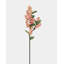 Cream White Snowberry 20.5"-1079667962