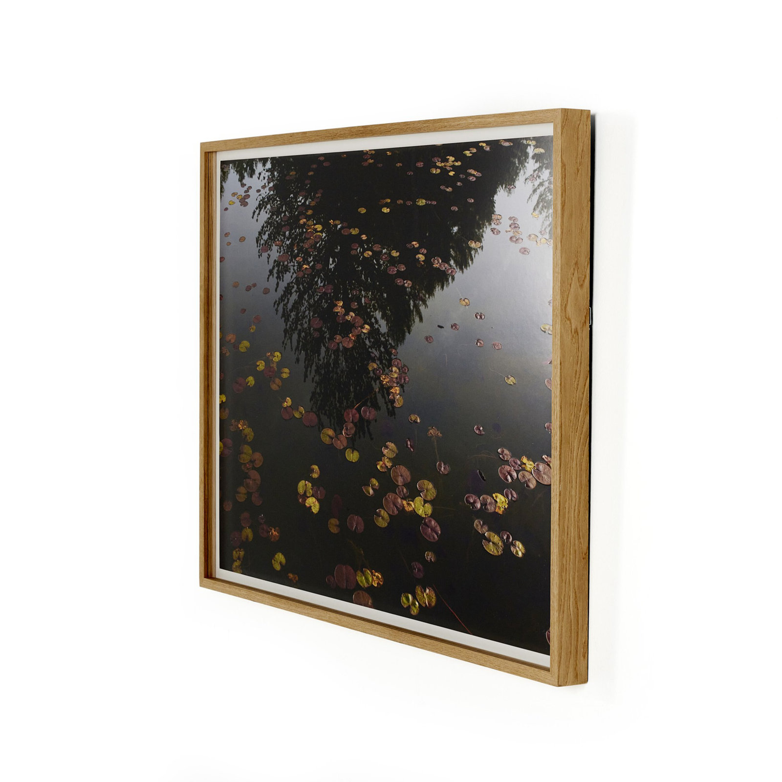 "Echo" by Shade Degges, 40" H x 60" W