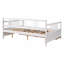 Lit de jour double en bois avec deux tiroirs-221510908-221510910