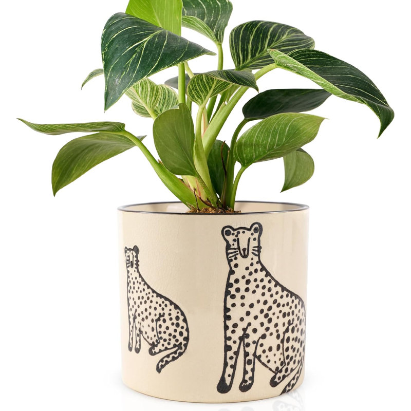 5-inch Funny Ceramic Planter With Drainage