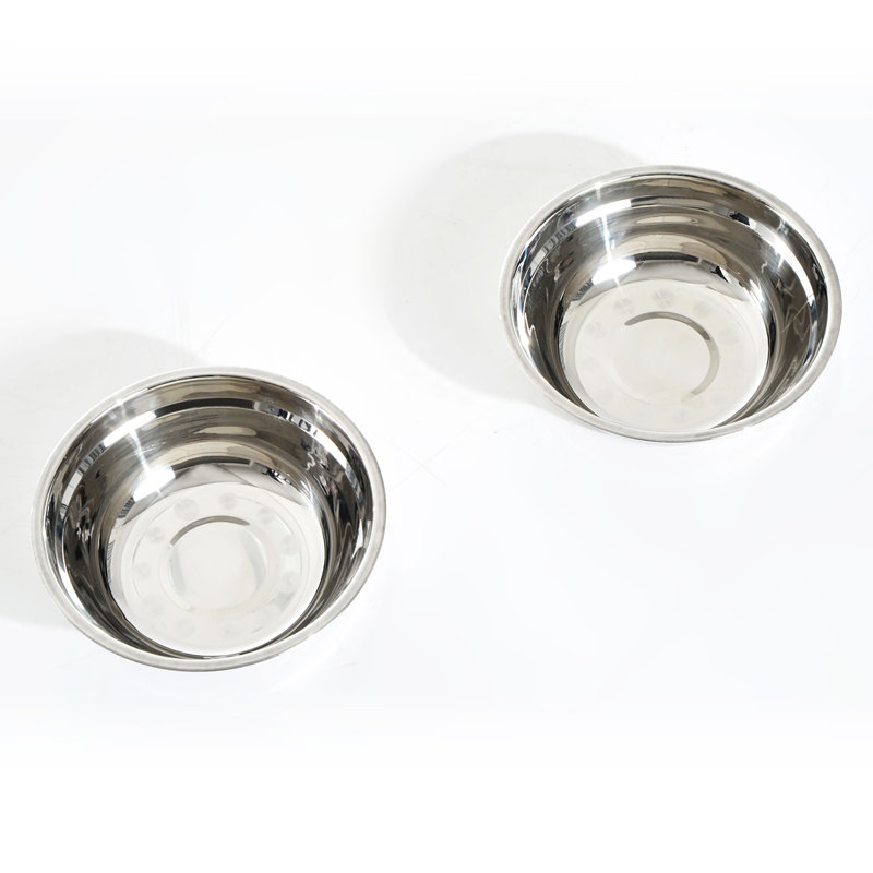 Elevated Double Stainless Steel Pet Feeding Station with Iron Frame