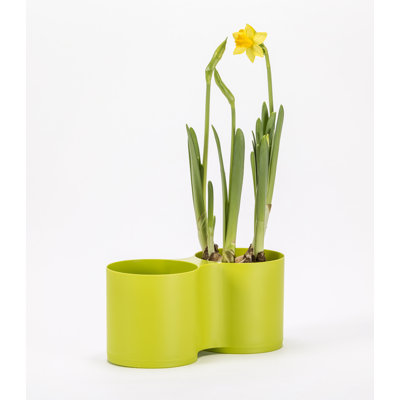 Kaimar Pot Planter