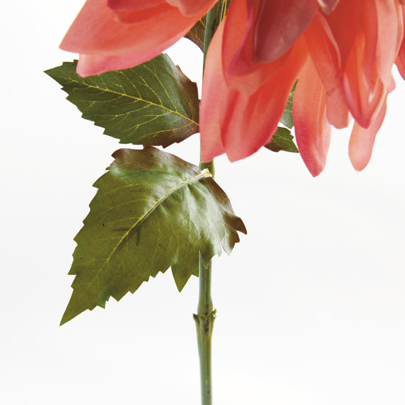 TIGE DAHLIA 28 po, Rose foncé