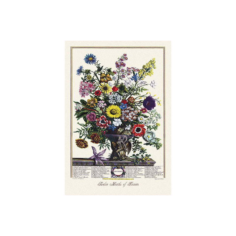 Douze mois de fleurs, impression