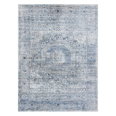 Riviera Viscose Oriental Indoor Rug