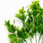 32cm Faux Plant-127680972