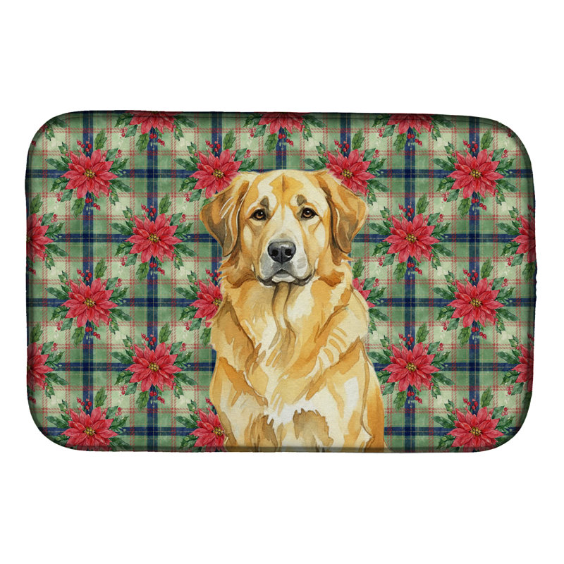 Tapis de séchage lion Lionberger