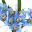 Orchidées disposées dans un vase en verre