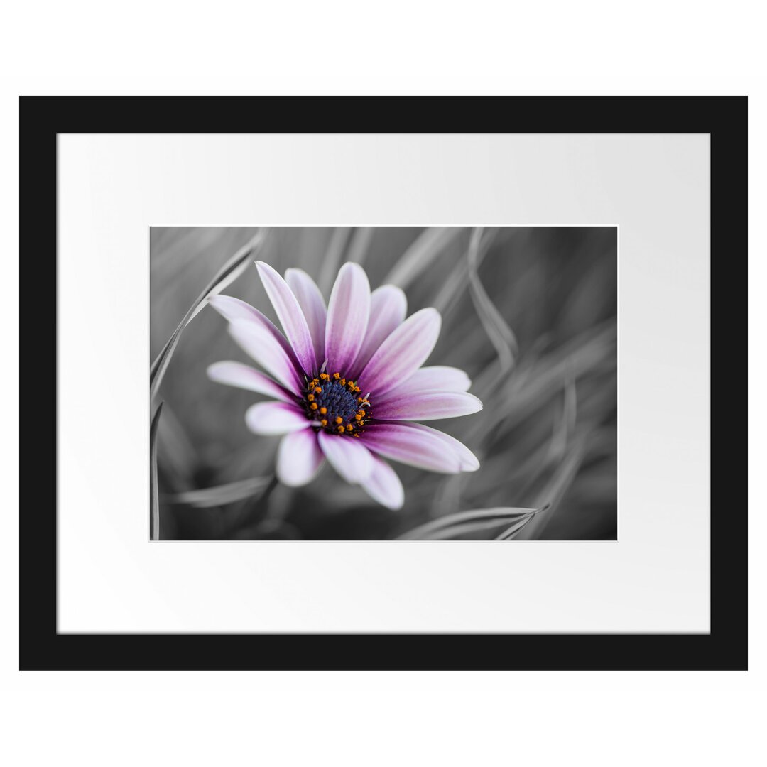 Gerahmtes Poster Blume in der Natur