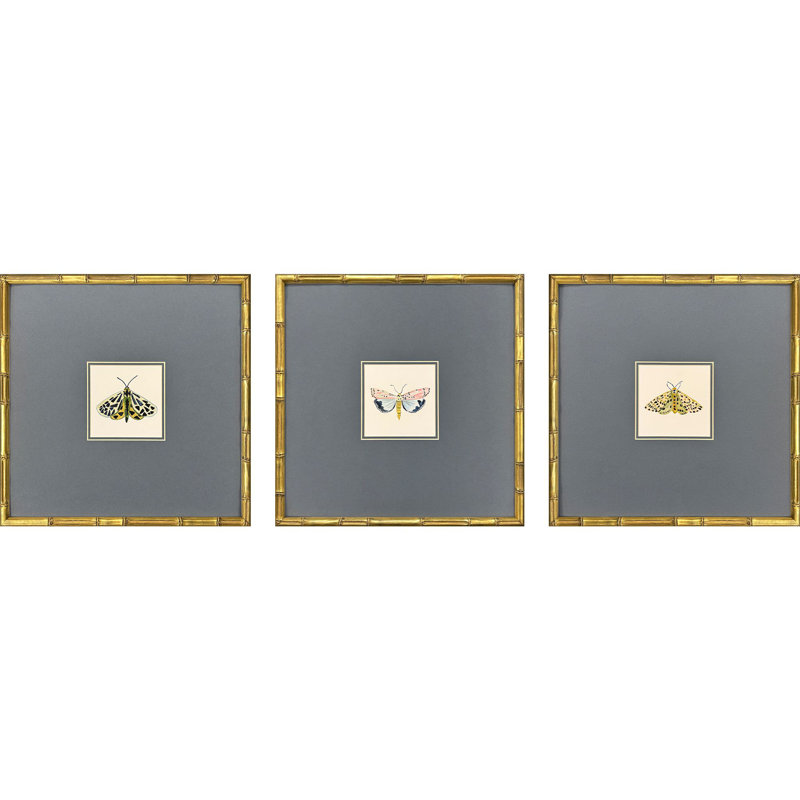 «Pastel Moths I», art encadré