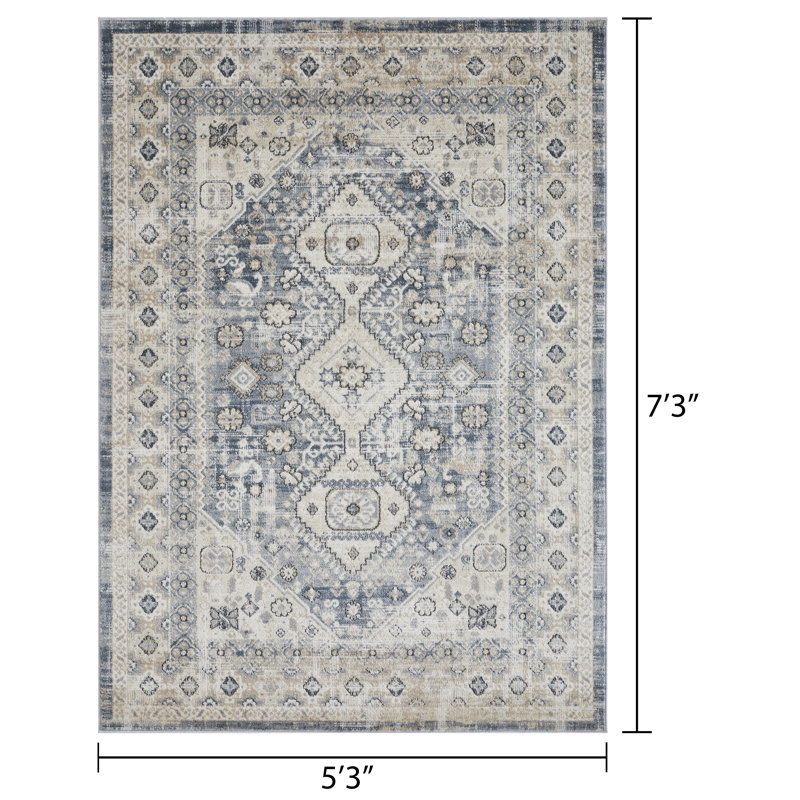 Aldolivio Oriental Indoor Rug, Rectangle 5'3" x 7'3"