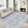 Modern Machine Washable Rug Non-Slip Area Rug for Living Room Low-Pile Rug Indoor Floor Cover for Bedroom Dining Room Hallway Kitchen Office