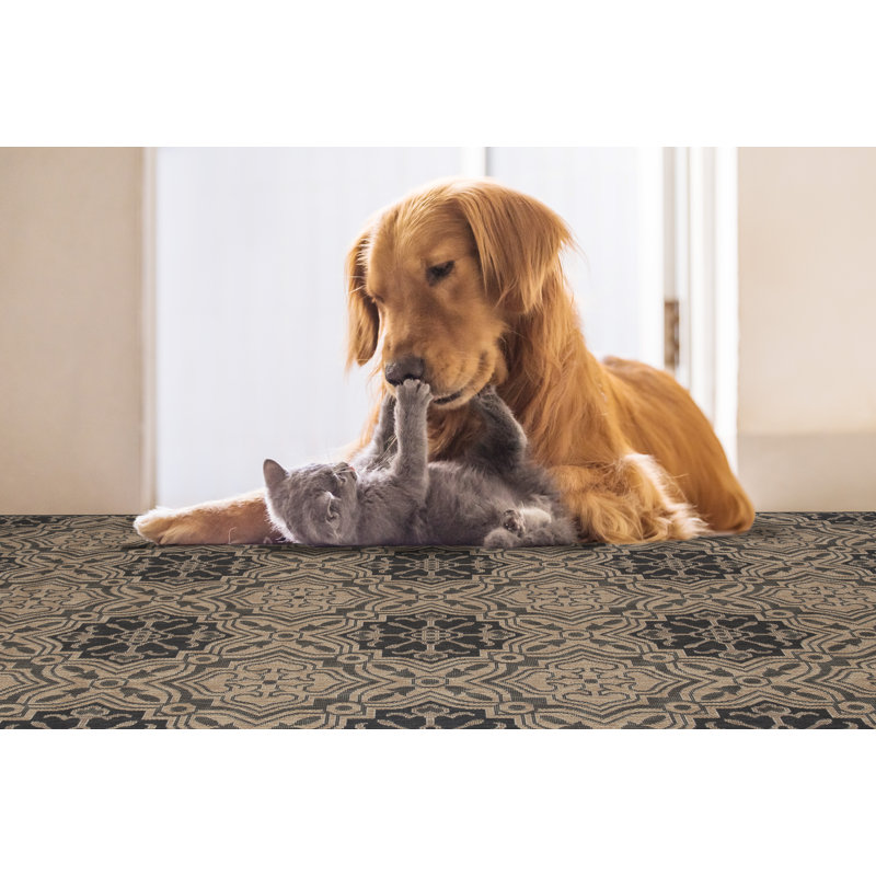 Geometric Indoor / Outdoor Rug, Rectangle 3'11" x 5'6"