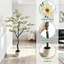 180cm Plant