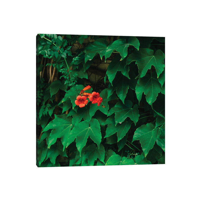 Working Bee by Bethany Young - Print on Canvas, Wrapped Canvas, 45.72cm H x 45.72cm W x 1.91cm D