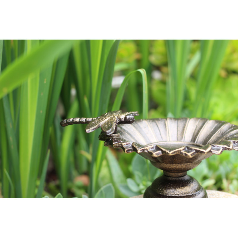 Bain d’oiseaux de table Bergson
