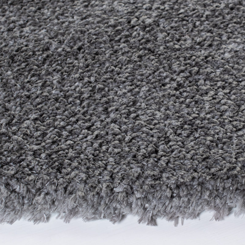 Tapis gris foncé Alayanna, Rond 6 pi 7 po