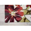 Tapis ivoire / rouge / vert Asiha-19765893