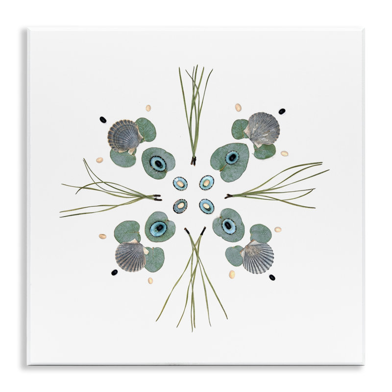 Coquillage et feuille, symétrie murale, par Beth Adoette