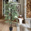150cm Faux Ficus Tree in Freestanding