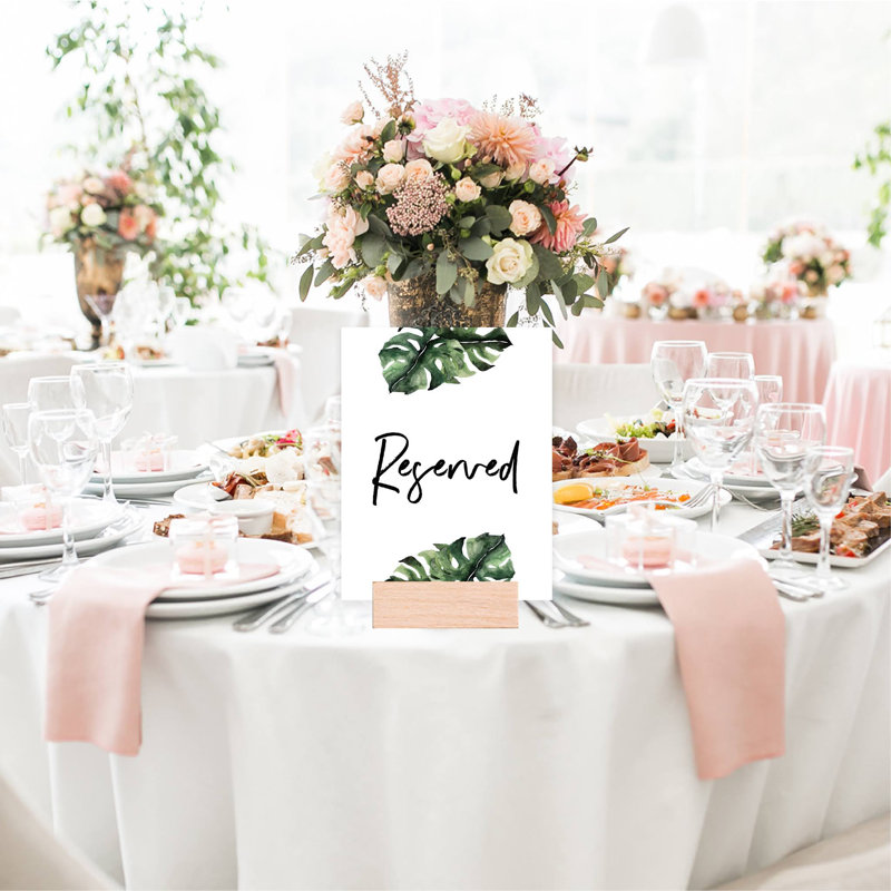 Paper Backdrops & Signs