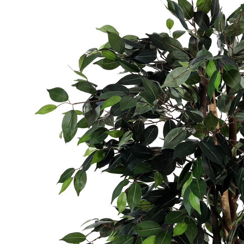 180cm Faux Banyan Tree in Freestanding